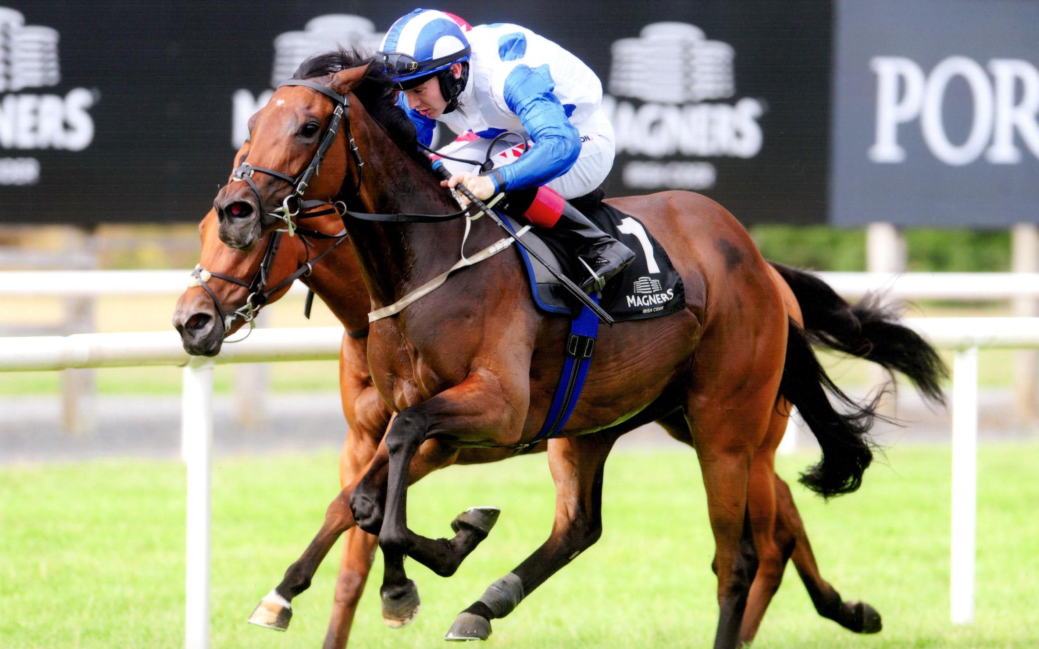 BAILLY digs deep to record her second win over 5f this season Down Royal, 29th July 2018